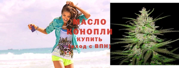 дмт Заводоуковск