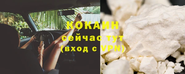 индика Зеленодольск