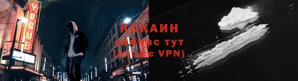 дмт Заводоуковск