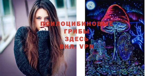 винт Туринск