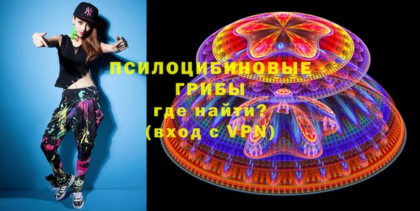 дмт Заводоуковск