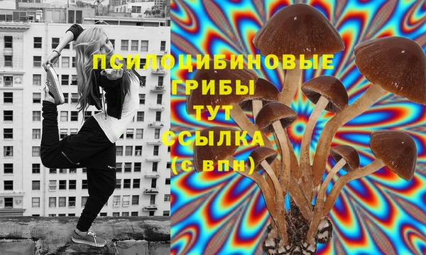 PSILOCYBIN Заволжск