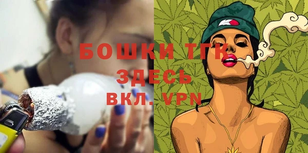 дмт Заводоуковск