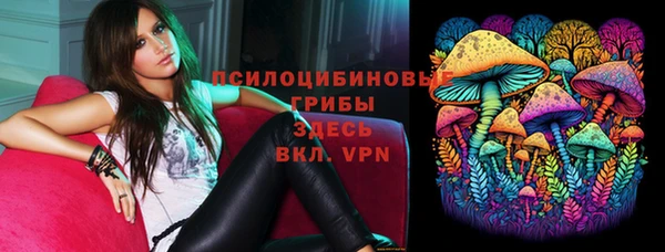 индика Зеленодольск