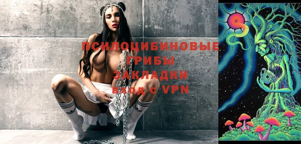 PSILOCYBIN Заволжск