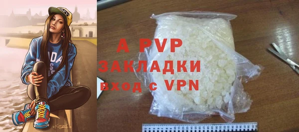 индика Зеленодольск