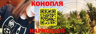 ПСИЛОЦИБИНОВЫЕ ГРИБЫ Заволжье