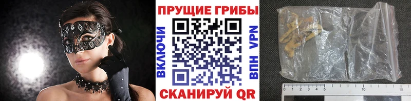 ОМГ ОМГ Михайловск Галлюциногенные грибы Psilocybine cubensis